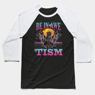 Be In Awe Of My 'Tism Autism Funny Raccoons Baseball T-Shirt